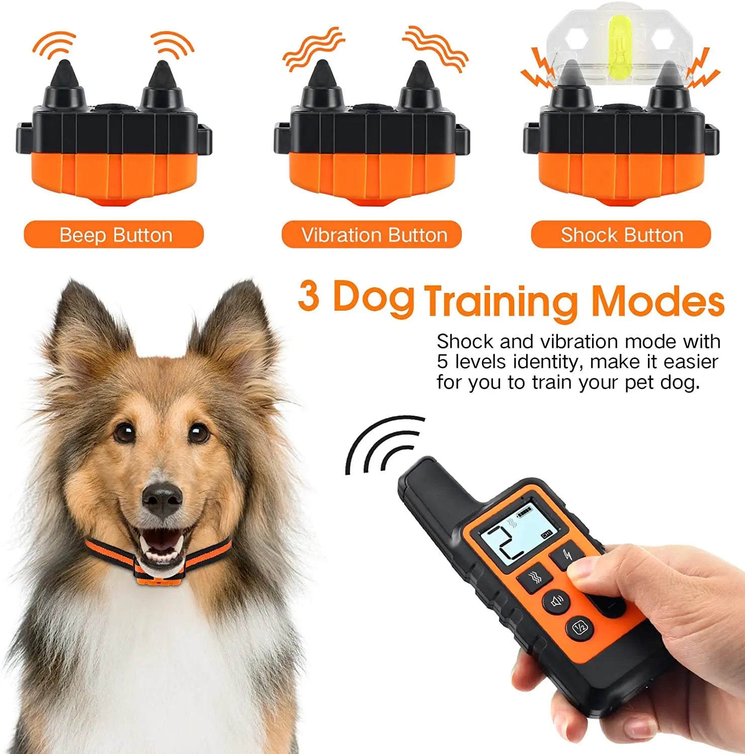 Dog Training Collar with Remote