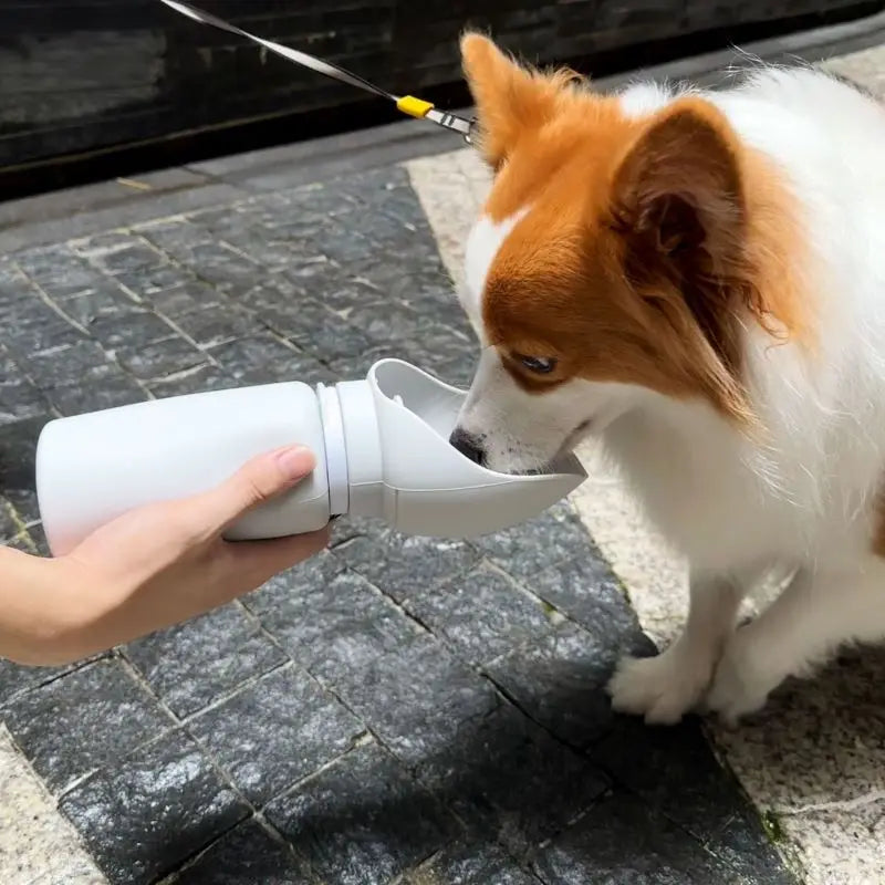 Folding Pet Travel Water Bottle